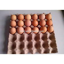 В мае 30 отверстий цена промотирования упаковка для яиц низкой